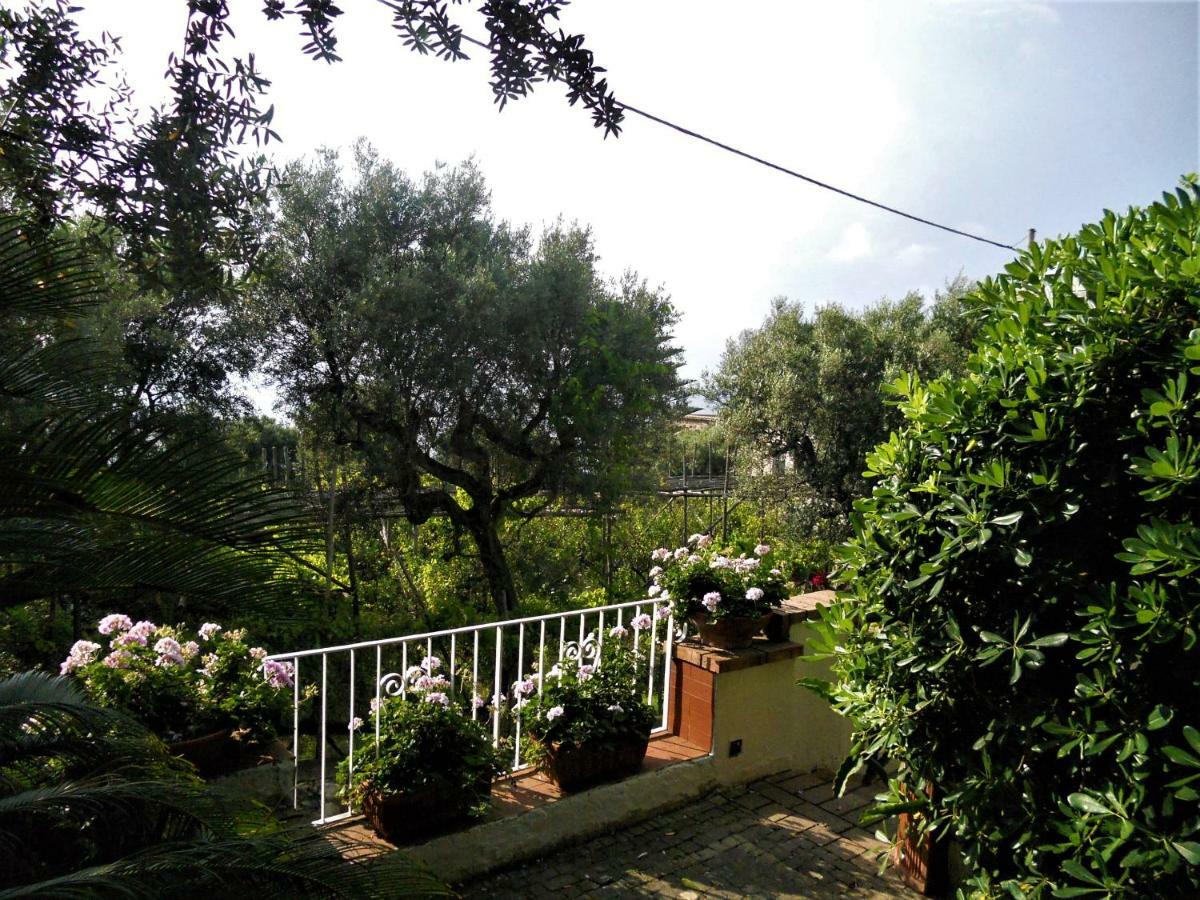 Villa Le Olivine Sorrento Exterior foto